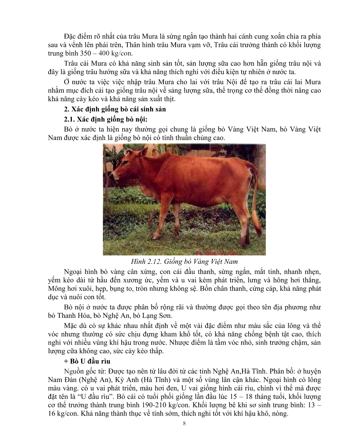 Giáo trình mô đun Nuôi trâu, bò cái sinh sản (Trình độ: Đào tạo dưới 3 tháng) trang 10