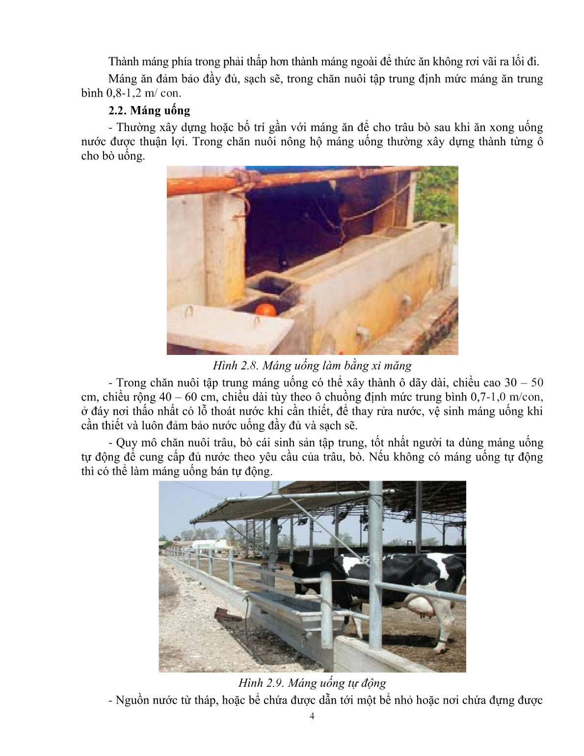 Giáo trình mô đun Nuôi trâu, bò cái sinh sản (Trình độ: Đào tạo dưới 3 tháng) trang 6