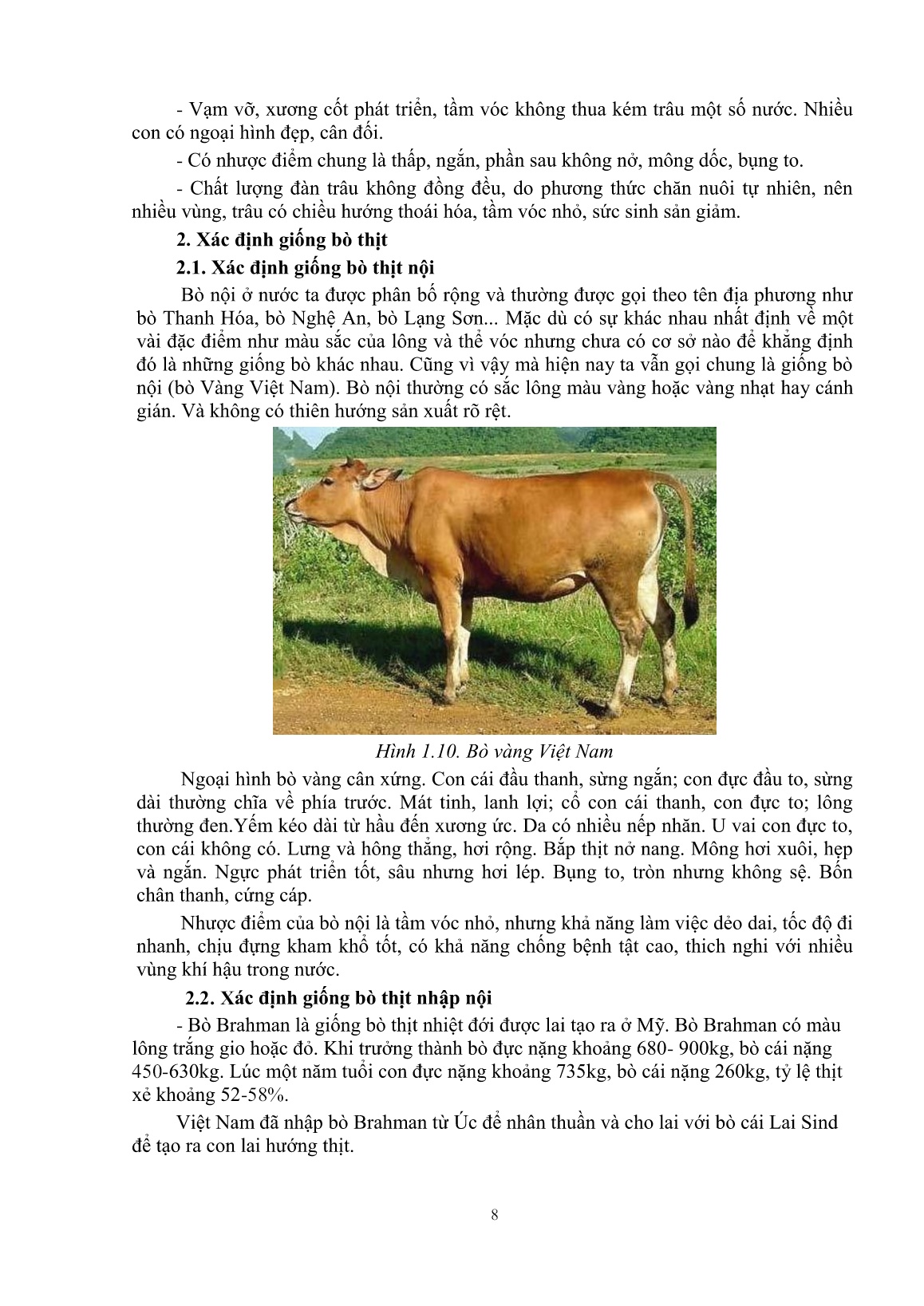 Giáo trình mô đun Nuôi trâu, bò thịt (Trình độ: Đào tạo dưới 3 tháng) trang 10