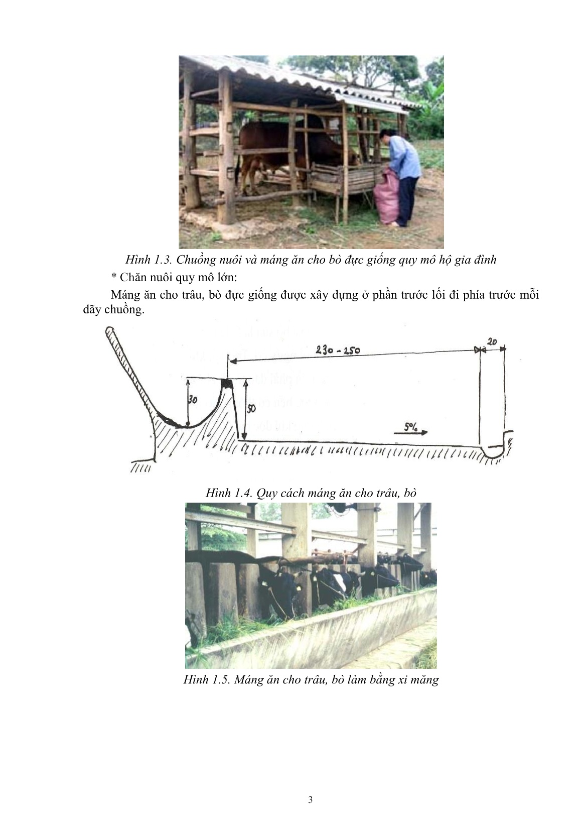 Giáo trình mô đun Nuôi trâu, bò đực giống (Trình độ: Đào tạo dưới 3 tháng) trang 5