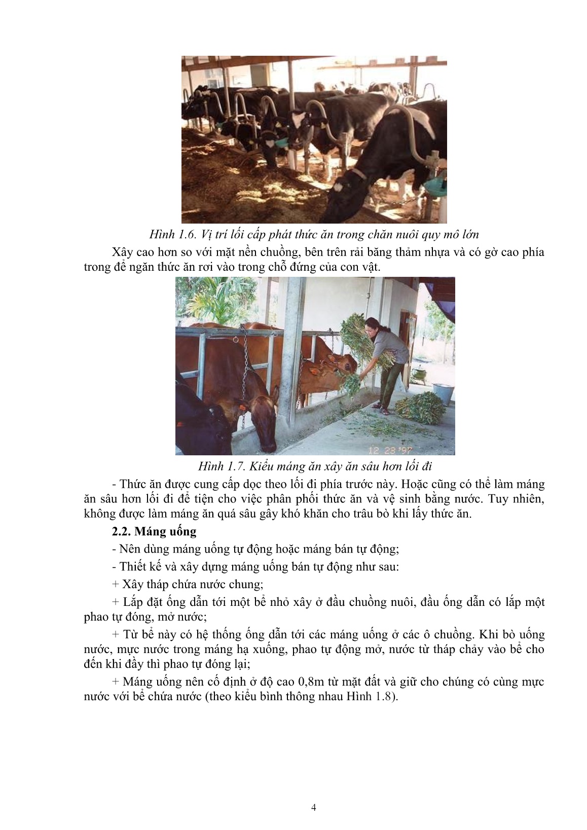 Giáo trình mô đun Nuôi trâu, bò đực giống (Trình độ: Đào tạo dưới 3 tháng) trang 6