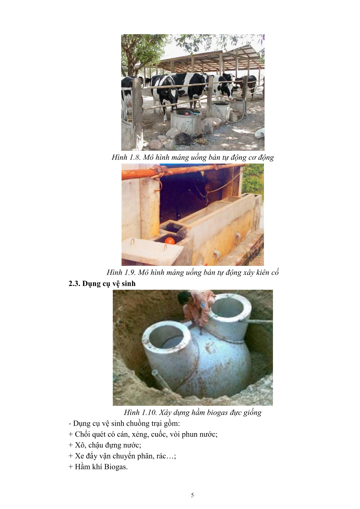 Giáo trình mô đun Nuôi trâu, bò đực giống (Trình độ: Đào tạo dưới 3 tháng) trang 7
