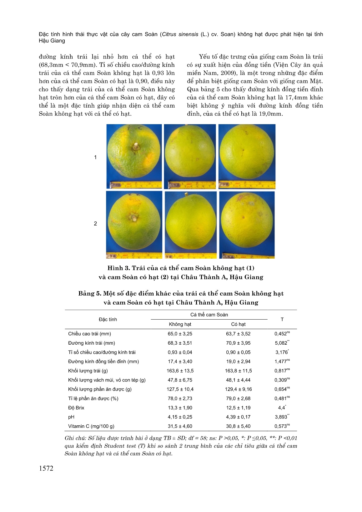 Đặc tính hình thái thực vật của cây cam soàn (Citrus Sinensis (L.) cv. Soan) không hạt được phát hiện tại tỉnh Hậu Giang trang 6