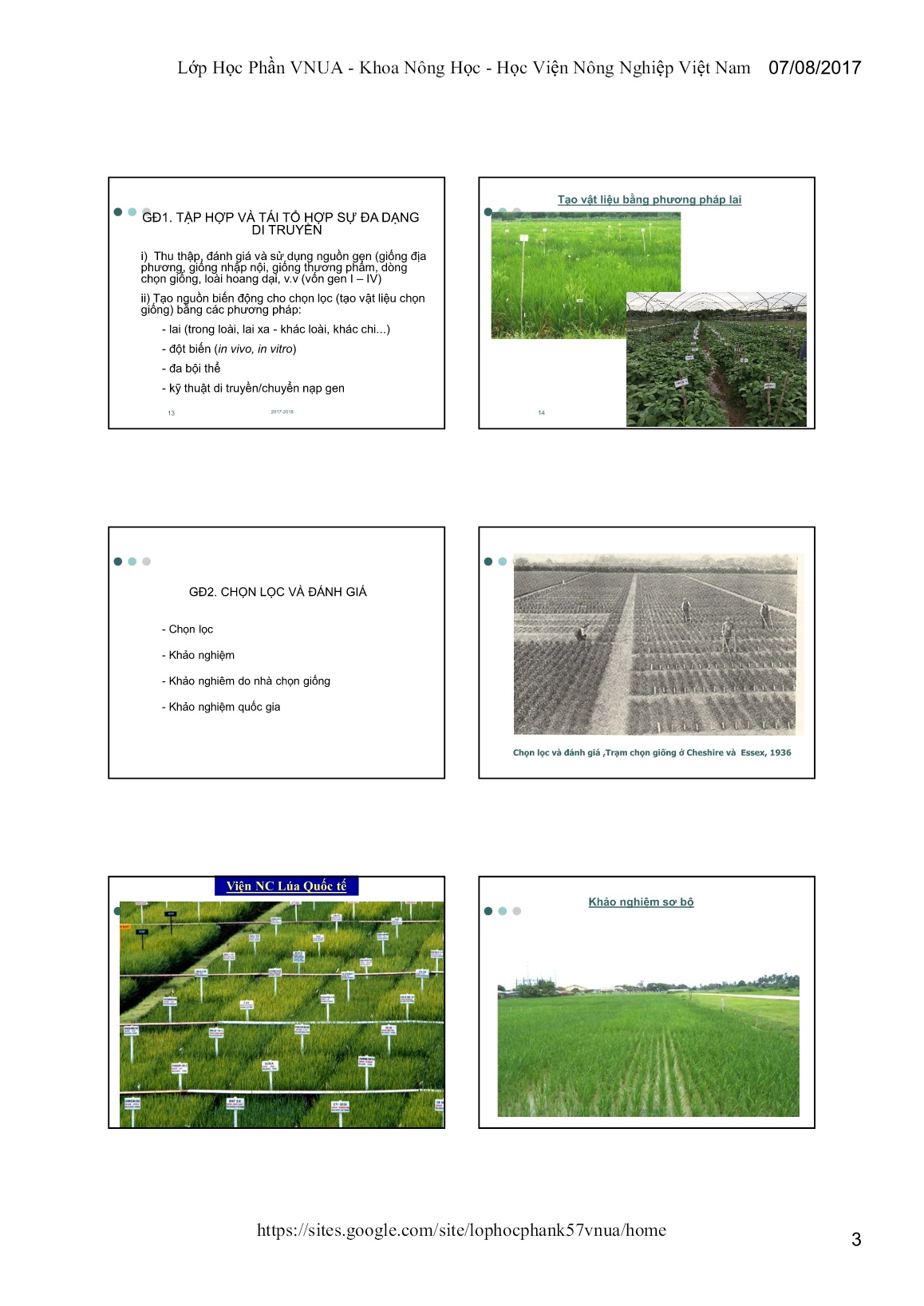Bài giảng Công cụ di truyền mới trong chọn tạo giống cây trồng - Chương I: Các phương pháp chọn tạo giống cây trồng truyền thống trang 3