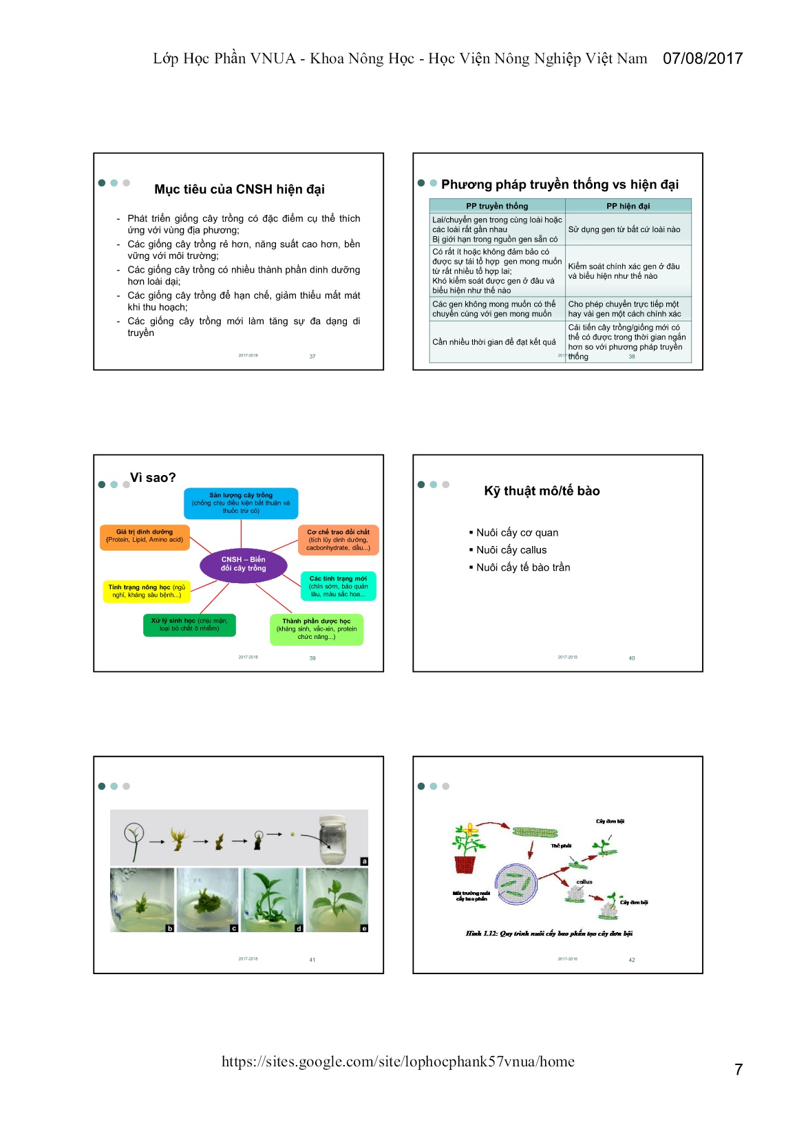 Bài giảng Công cụ di truyền mới trong chọn tạo giống cây trồng - Chương I: Các phương pháp chọn tạo giống cây trồng truyền thống trang 7