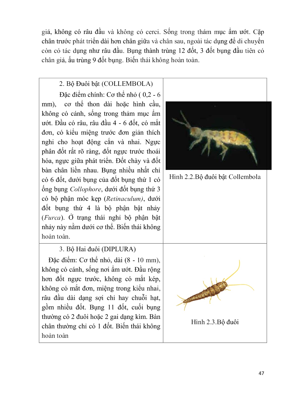 Giáo trình mô đun Đấu tranh sinh học (Phần 2) trang 7