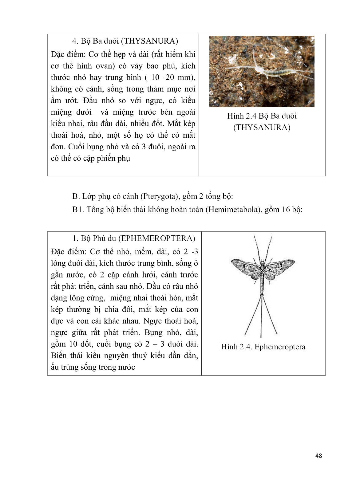 Giáo trình mô đun Đấu tranh sinh học (Phần 2) trang 8