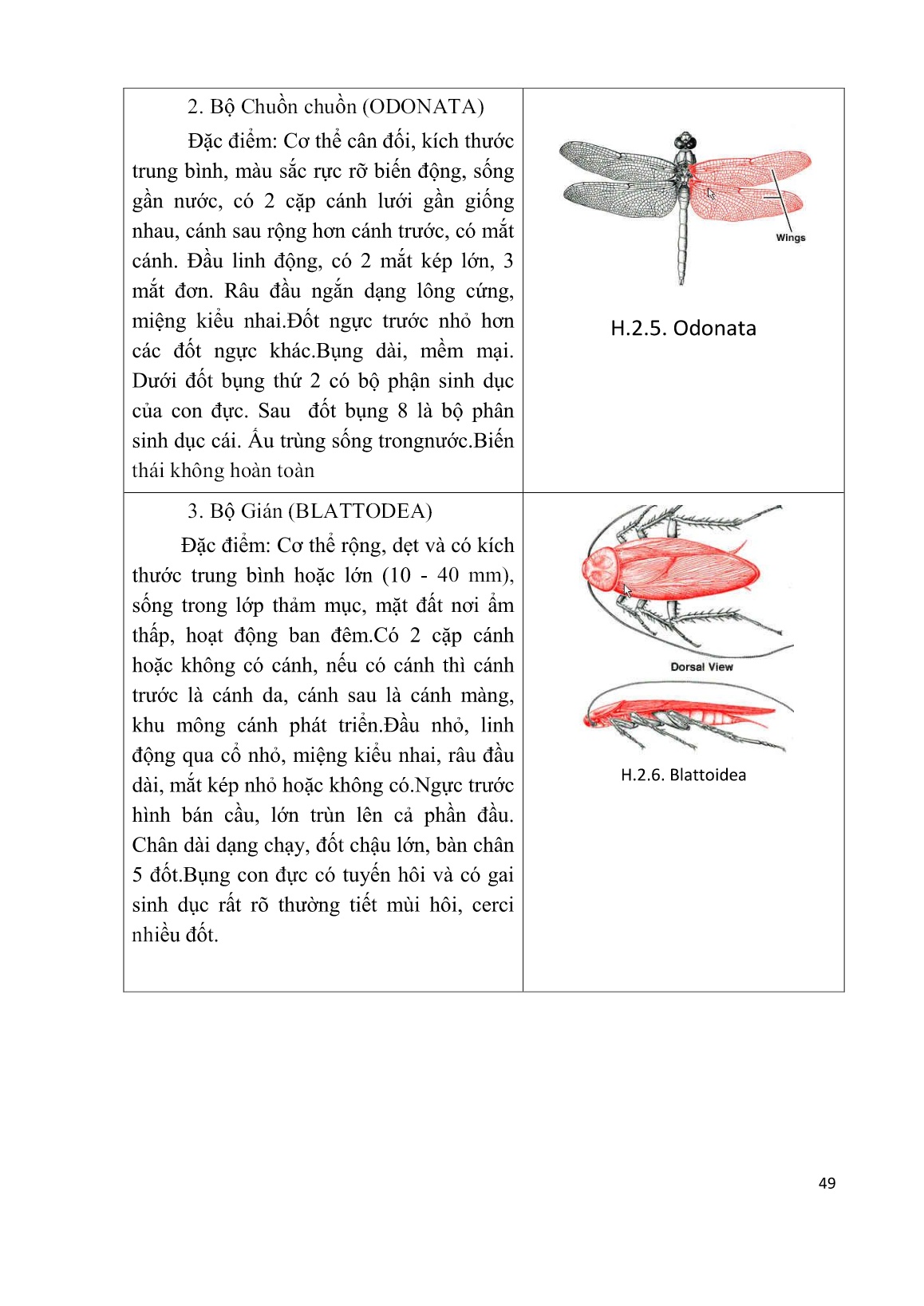 Giáo trình mô đun Đấu tranh sinh học (Phần 2) trang 9