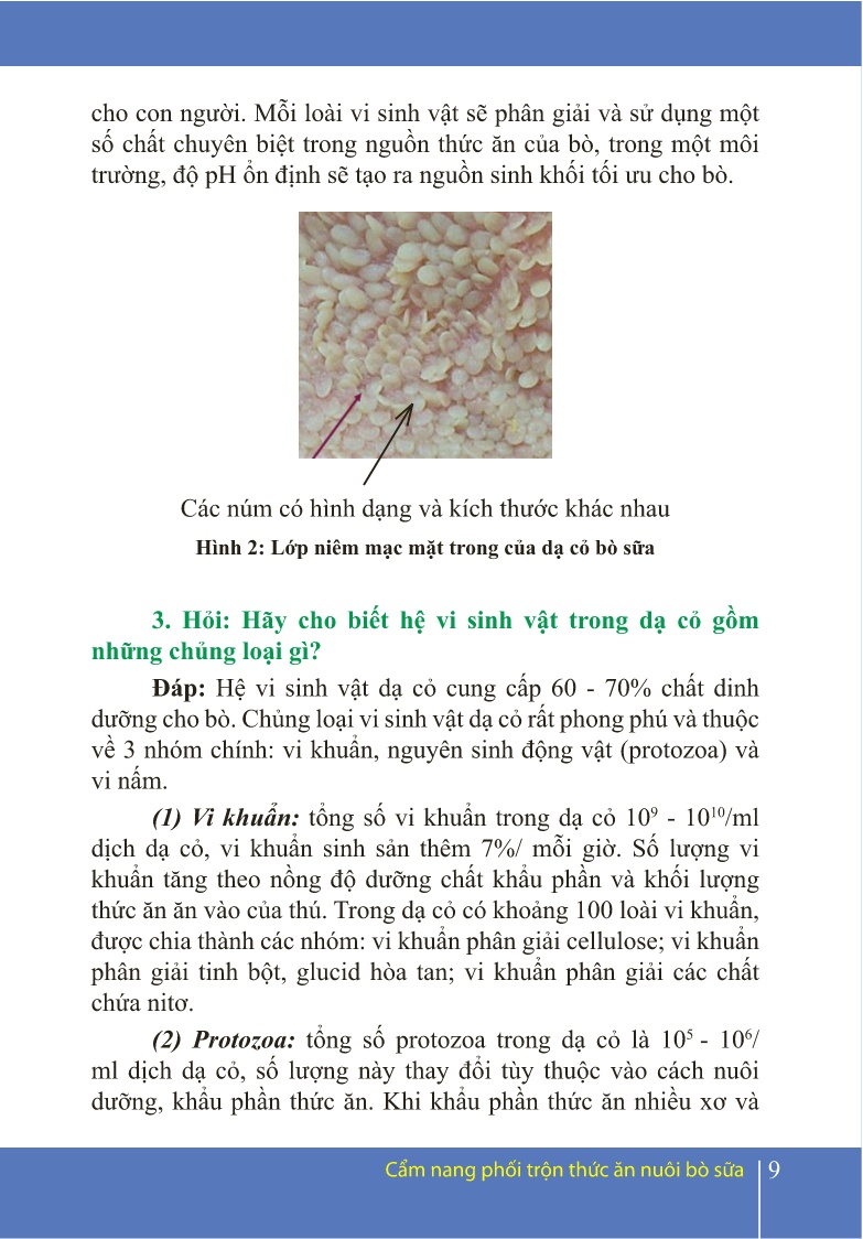 Cẩm nang Phối trộn thức ăn nuôi bò sữa trang 9