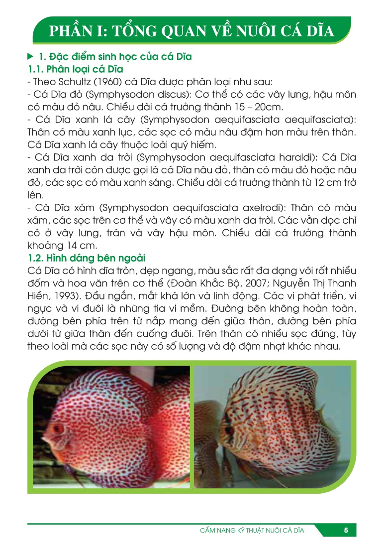 Cẩm nang Kỹ thuật nuôi cá dĩa trang 5