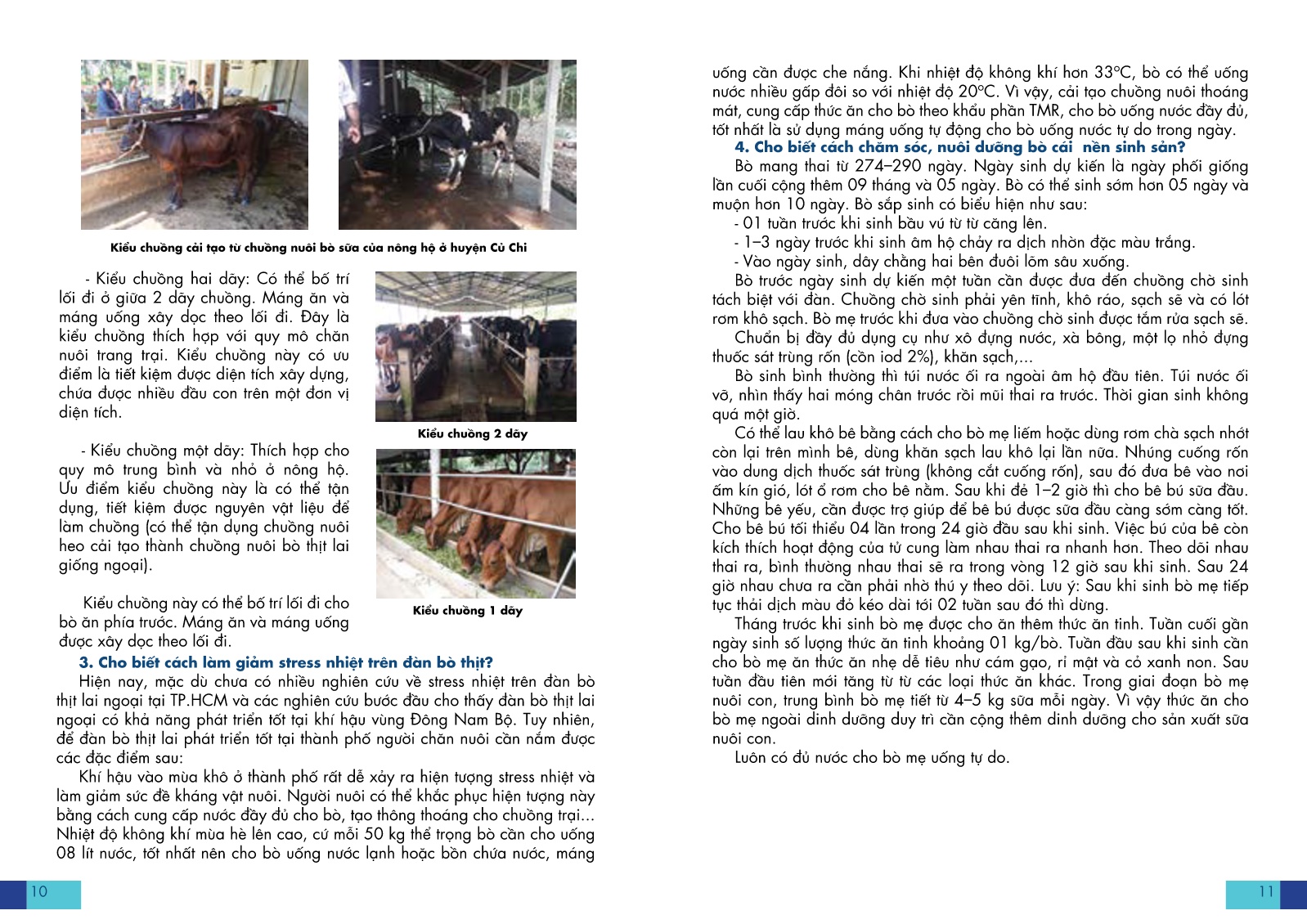 Cẩm nang Kỹ thuật chăn nuôi bò thịt lai giống ngoại trang 8
