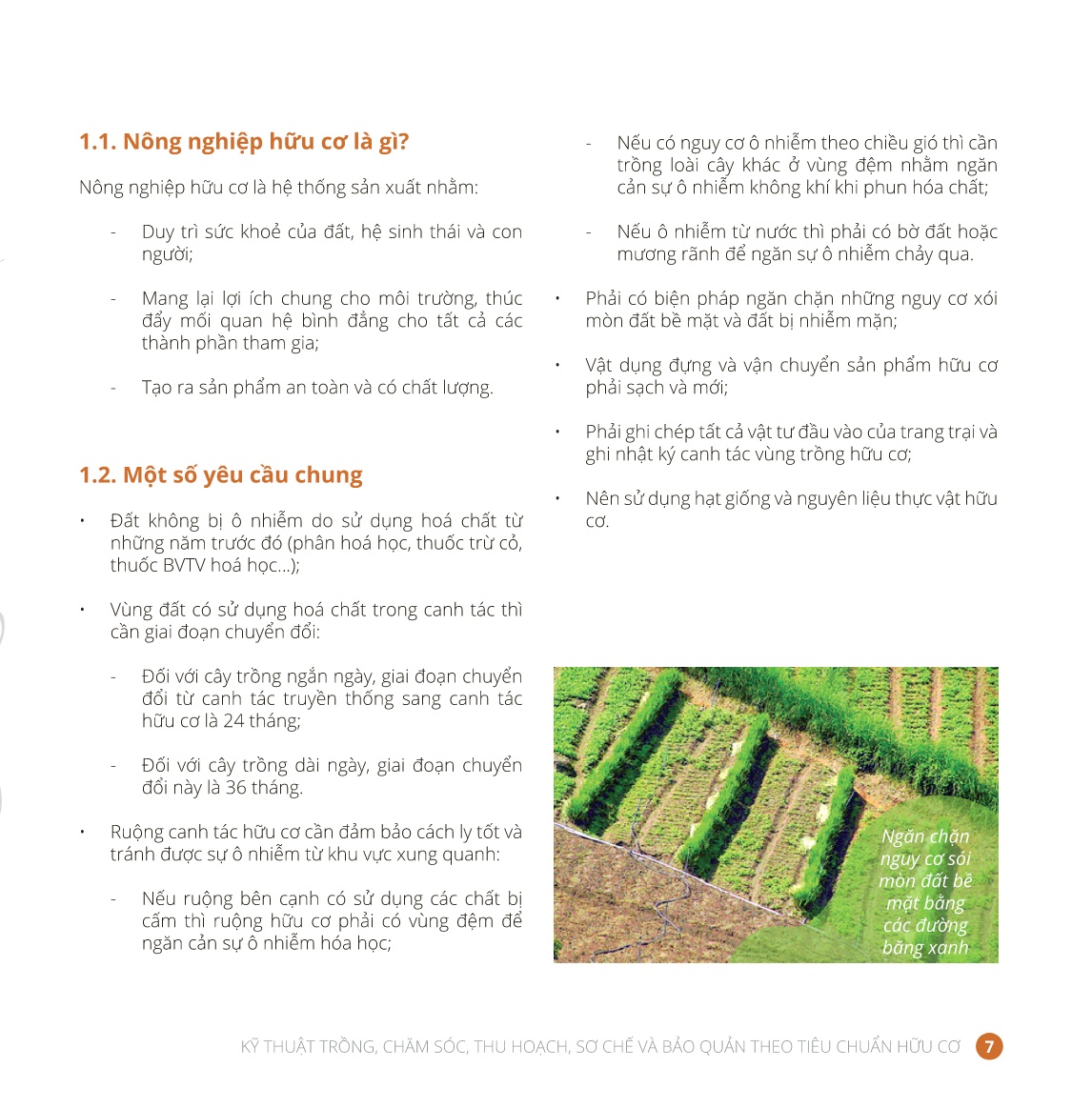 Tài liệu Kỹ thuật trồng, chăm sóc, thu hoạch, sơ chế và bảo quản theo tiêu chuẩn hữu cơ trang 7