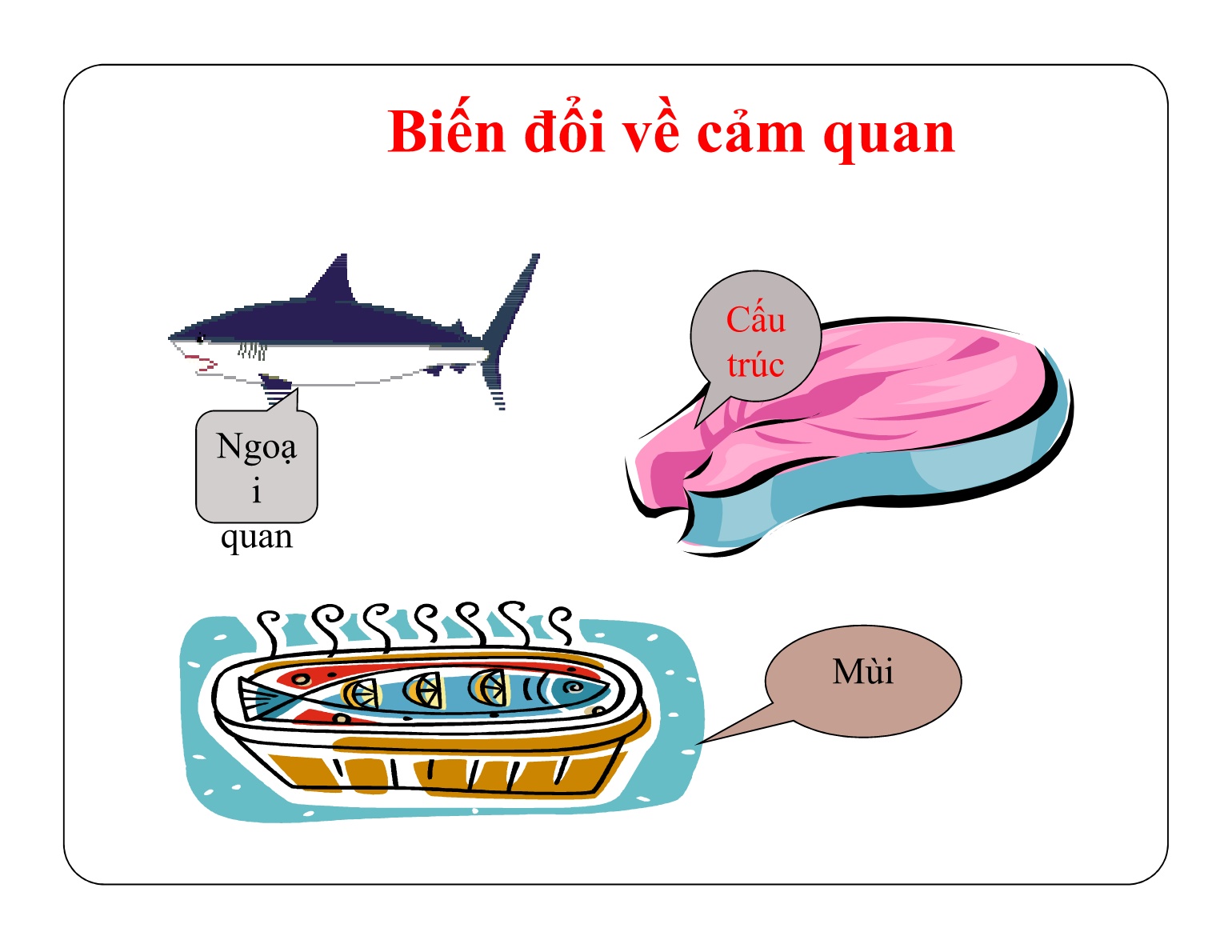 Bài giảng Bảo quản sản phẩm sau thu hoạch - Chủ đề 3: Biến đổi của động vật thủy sản sau khi chết trang 6