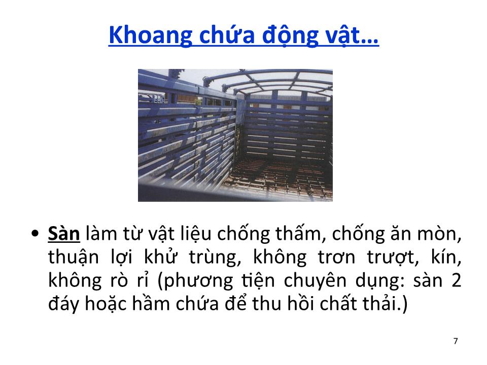 Bài giảng Vệ sinh thú Y 2 - Chương 6: Vệ sinh vận chuyển động vật & sản phẩm động vật trang 7