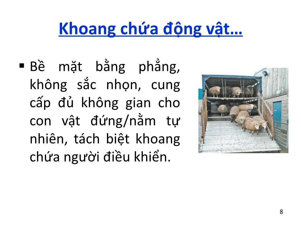 Bài giảng Vệ sinh thú Y 2 - Chương 6: Vệ sinh vận chuyển động vật & sản phẩm động vật trang 8