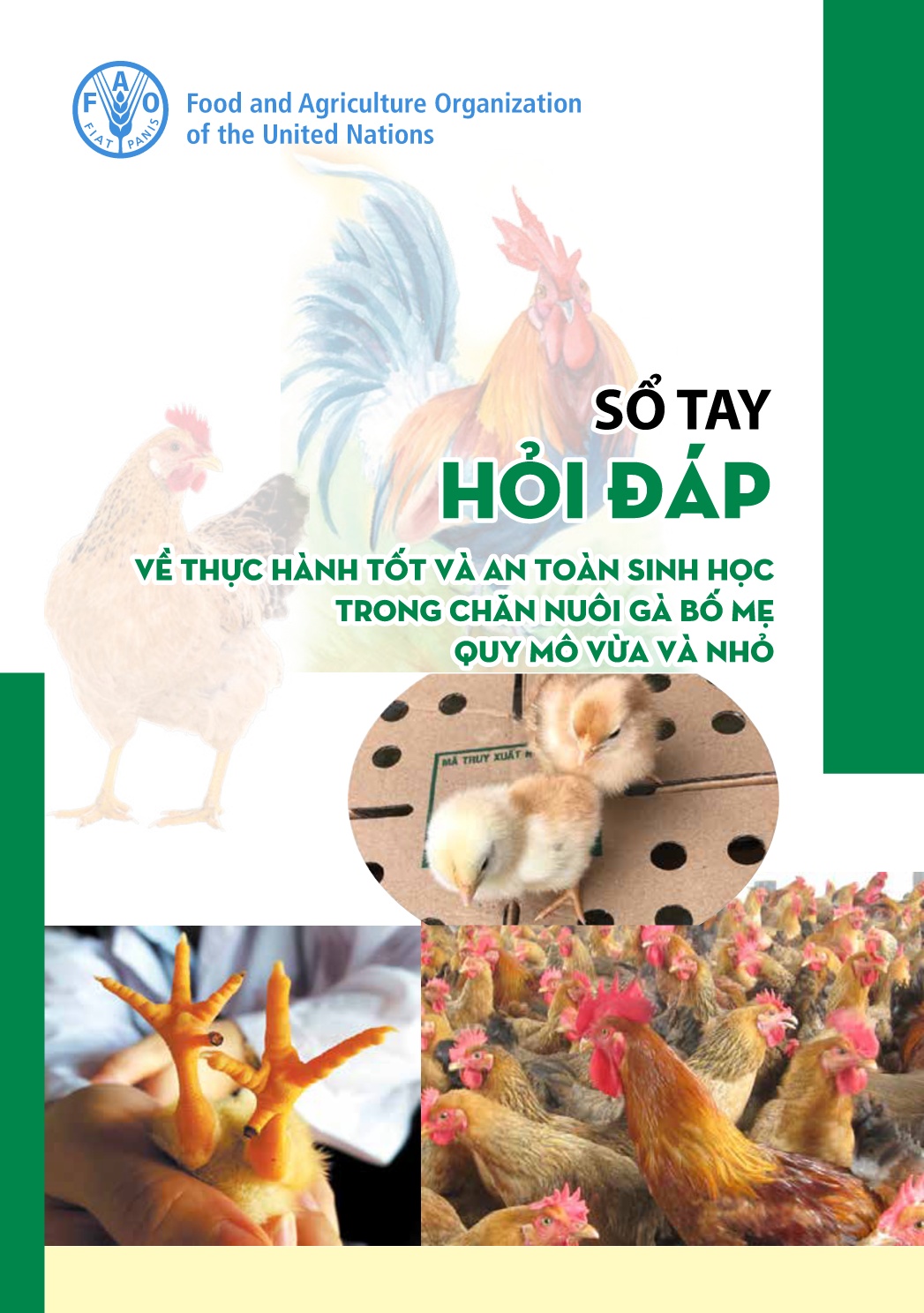 Sổ tay hỏi đáp Thực hành tốt và an toàn sinh học trong chăn nuôi gà bố mẹ quy mô vừa và nhỏ trang 1