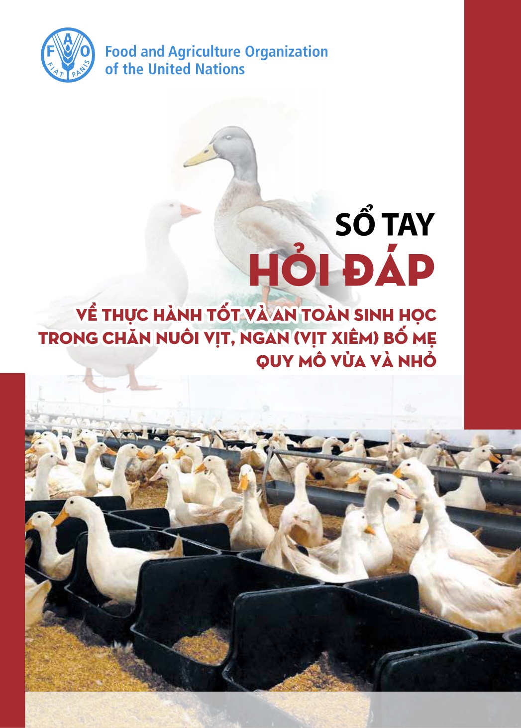 Sổ tay hỏi đáp Thực hành tốt và an toàn sinh học trong chăn nuôi vịt, ngan (vịt xiêm) bố mẹ quy mô vừa và nhỏ trang 1