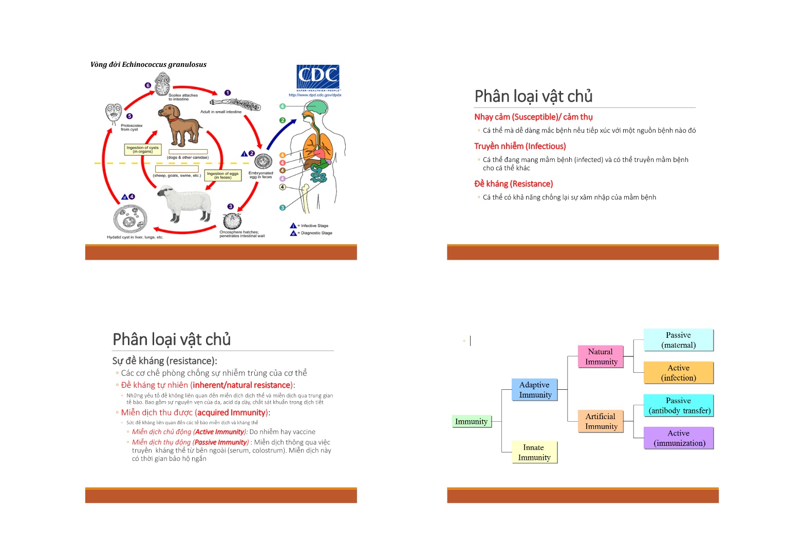 Bài giảng Dịch tễ học bệnh truyền nhiễm - Lê Thanh Hiền trang 3