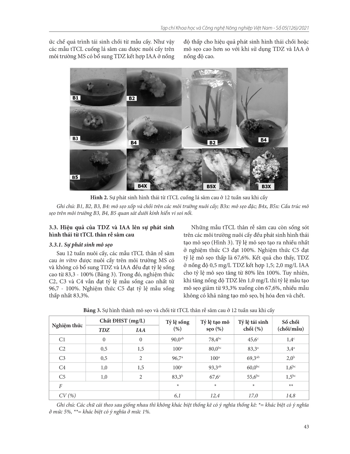Ảnh hưởng của tdz và iaa lên sự phát sinh hình thái từ các lớp mỏng tế bào của lá, cuống lá và thân rễ cây sâm cau (Curculigo orchioides Gaertn.) nuôi cấy in vitro trang 5