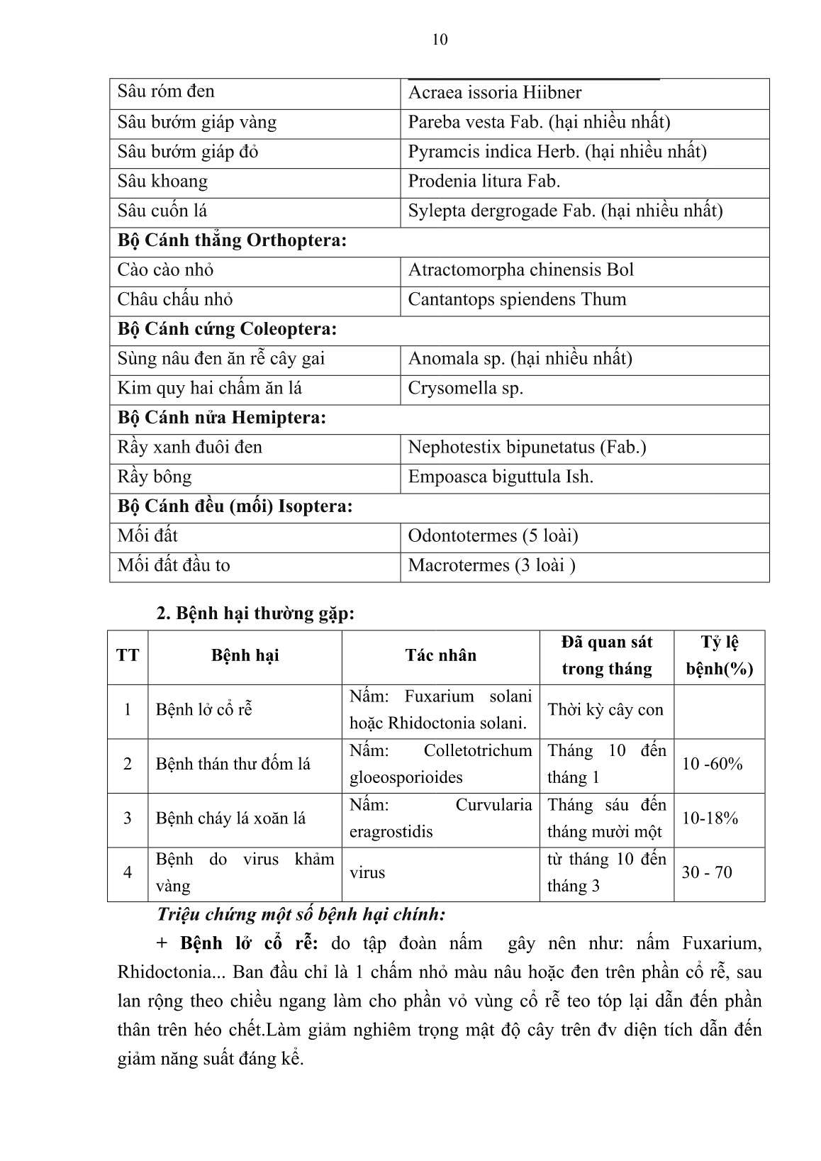 Hướng dẫn kỹ thuật trồng và biện pháp quản lý dịch hại cây gai xanh trang 10