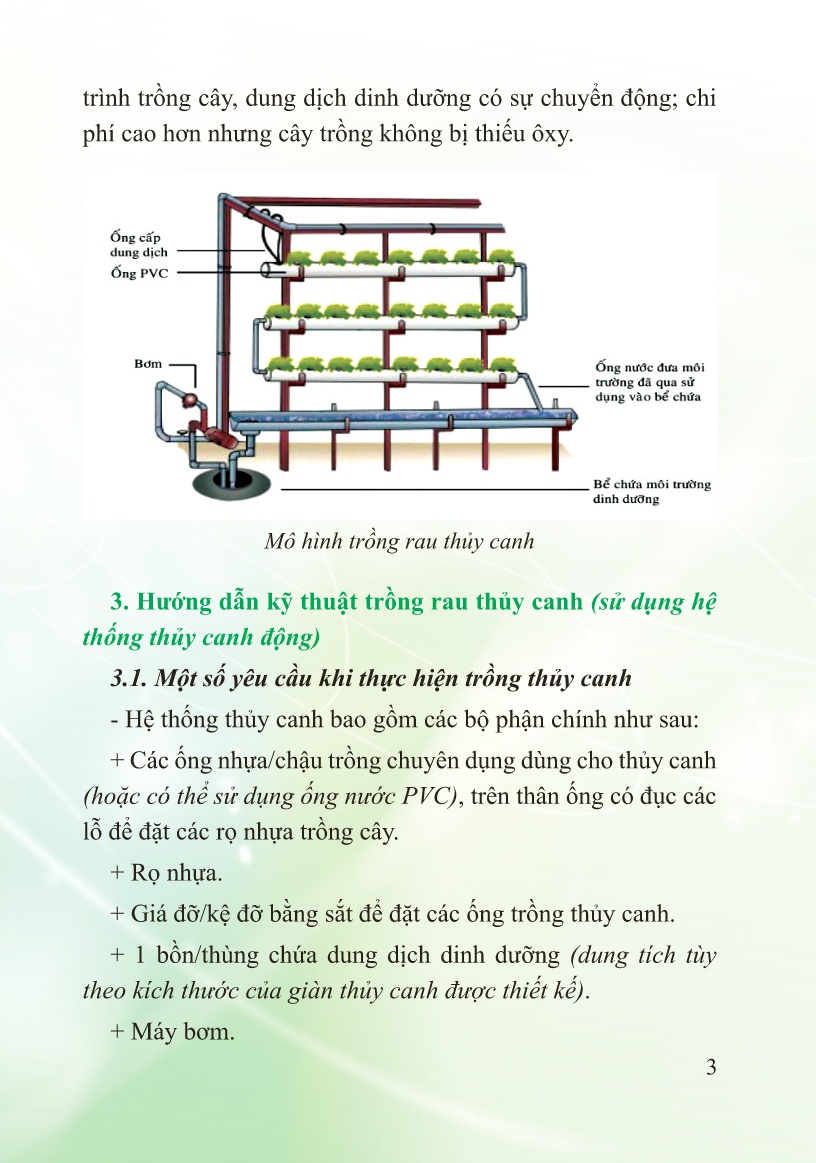 Hướng dẫn kỹ thuật trồng rau thủy canh trang 3