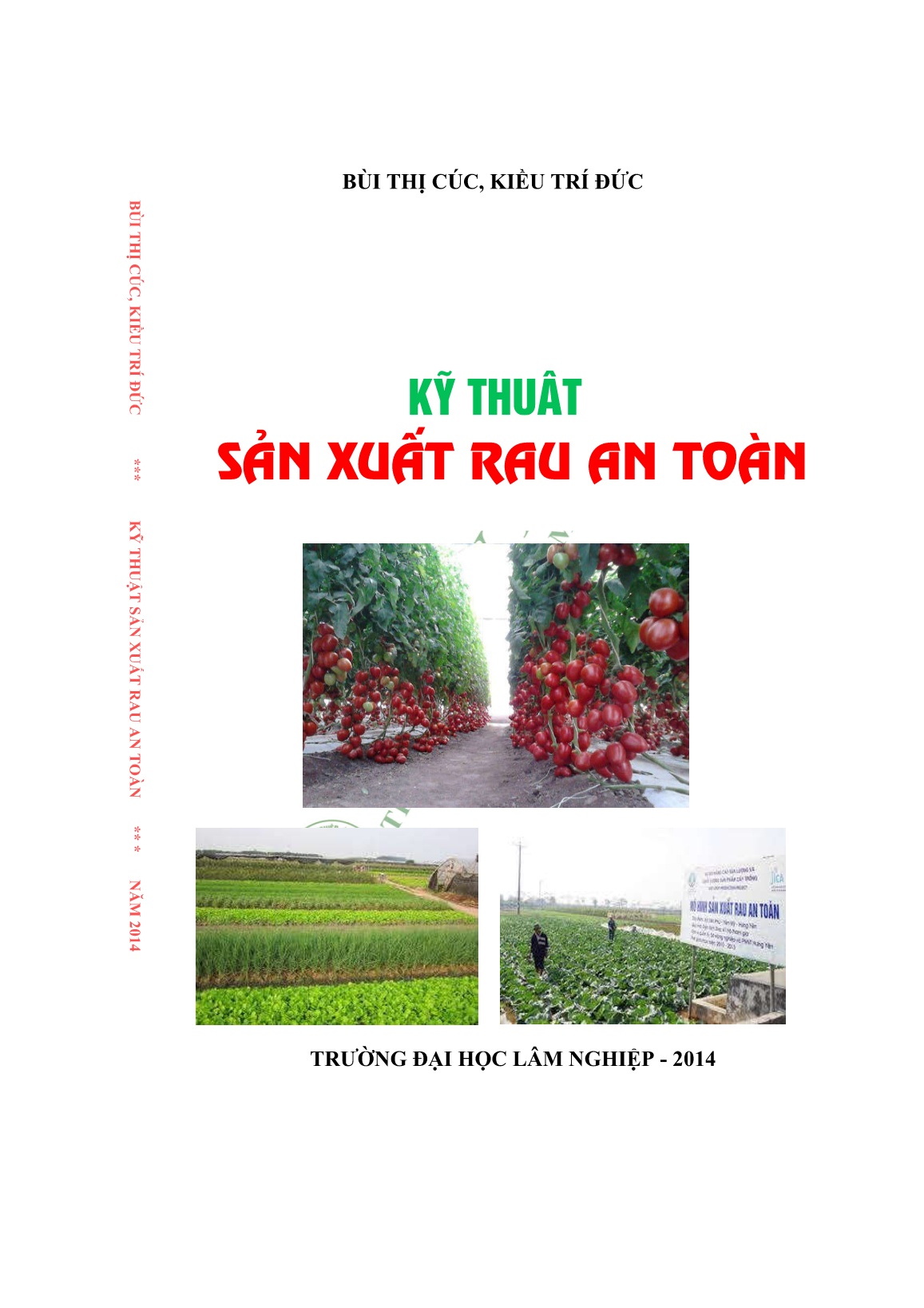 Giáo trình Kỹ thuật sản xuất rau an toàn trang 1