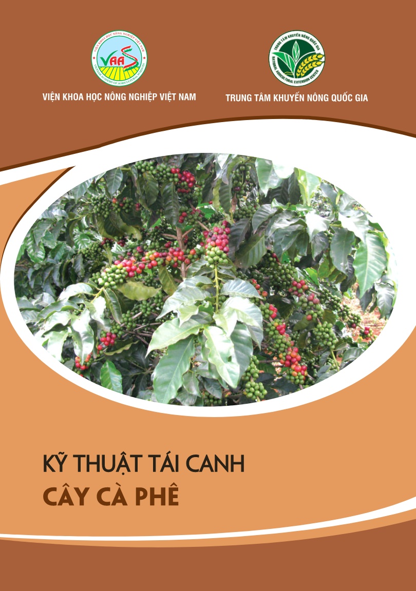 Giáo trình Kỹ thuật tái canh cây cà phê trang 1