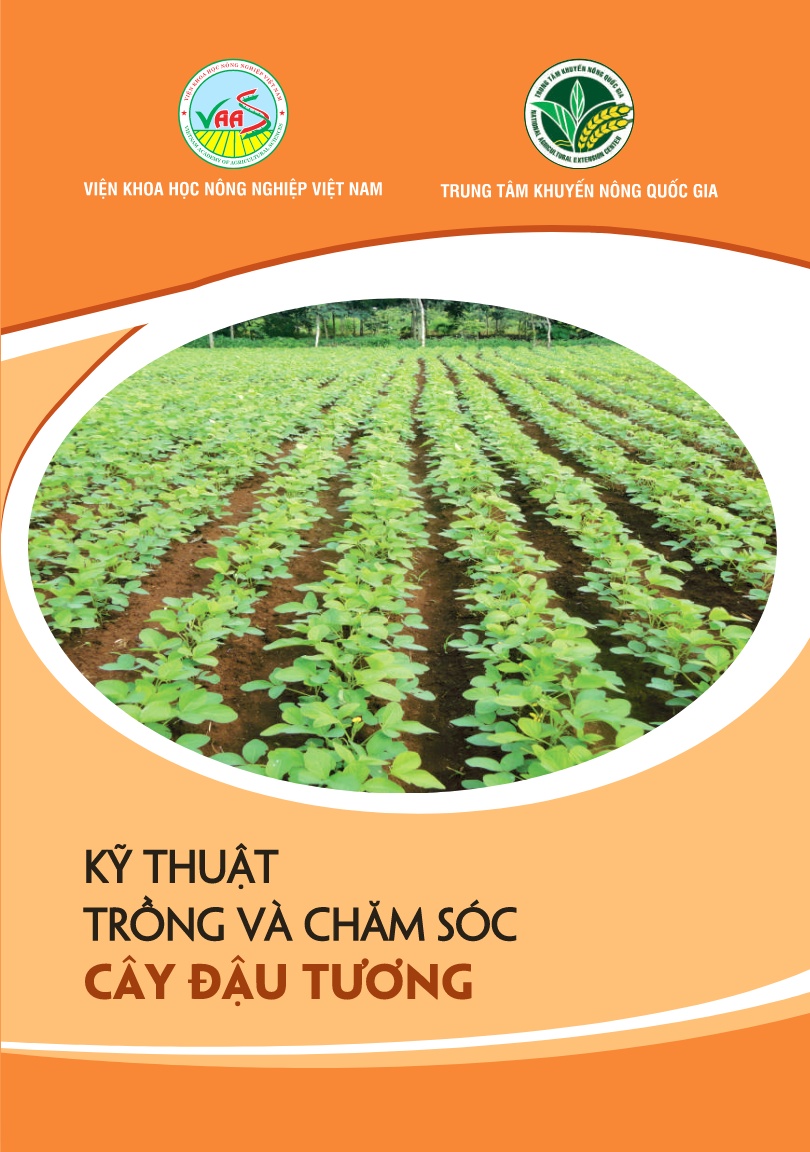 Tài liệu Kỹ thuật trồng và chăm sóc cây đậu tương trang 1