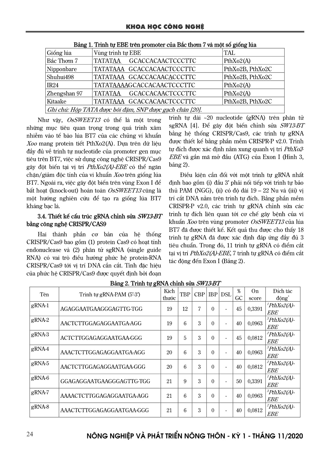Phân lập và thiết kế Grna chỉnh sửa promter ossweet13 liên quan đến bệnh bạc lá trên lúa Bắc Thơm 7 trang 5