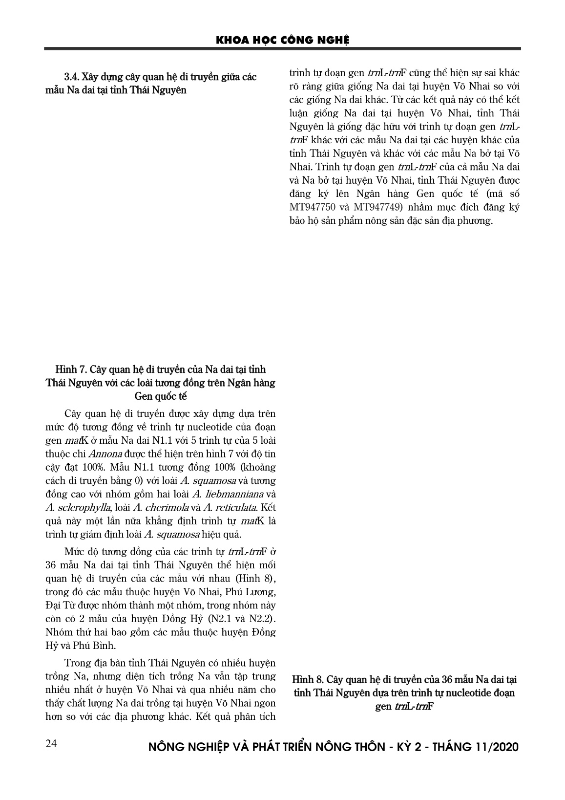 Nghiên cứu xác định một số trình tự ADN mã vạch phục vụ công tác phân loại và nhận dạng các giống na dai (annona squamosa) tại Thái Nguyên trang 8