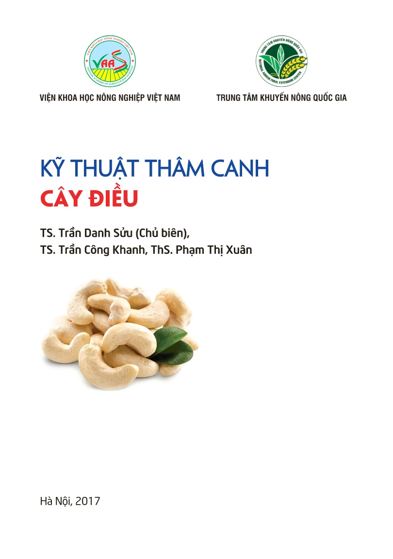 Giáo trình Kỹ thuật thâm canh cây điều trang 3