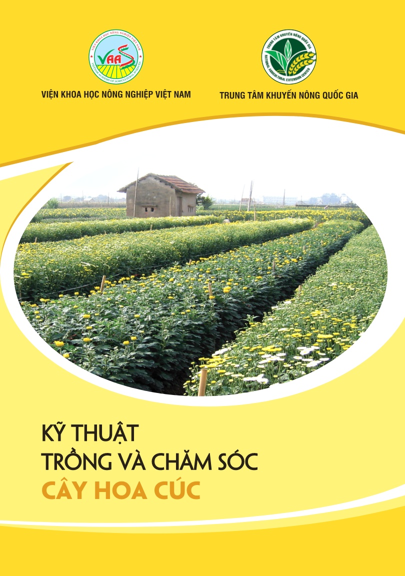 Giáo trình Kỹ thuật trồng và chăm sóc cây hoa cúc trang 1