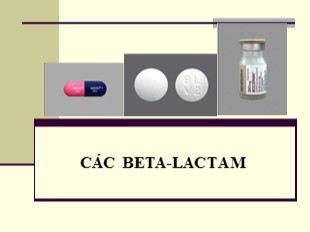 Bài giảng Các Beta - Lactam
