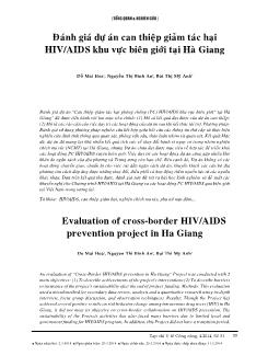 Đánh giá dự án can thiệp giảm tác hại HIV/AIDS khu vực biên giới tại Hà Giang