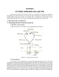 Giáo trình Kỹ thuật chăn nuôi các loại thỏ