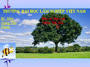 Bài giảng Bảo vệ thực vật (Phần 1) - Trần Thị Yến