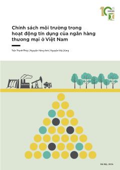 Chính sách môi trường trong hoạt động tín dụng của ngân hàng thương mại ở Việt Nam