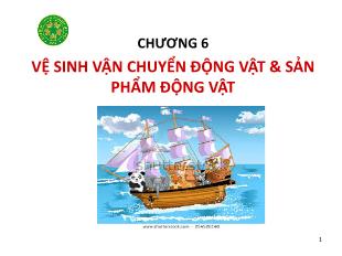 Bài giảng Vệ sinh thú Y 2 - Chương 6: Vệ sinh vận chuyển động vật & sản phẩm động vật