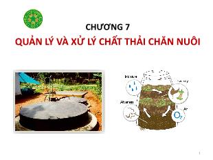 Bài giảng Vệ sinh thú Y 2 - Chương 7: Quản lý và xử lý chất thải chăn nuôi