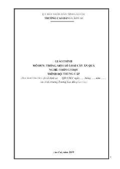 Giáo trình mô đun Trồng một số loài cây ăn quả (Trình độ: Trung cấp)