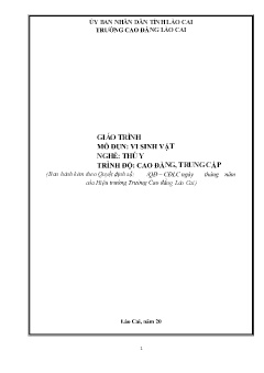 Giáo trình mô đun Vi sinh vật (Trình độ: Cao đẳng, Trung cấp)