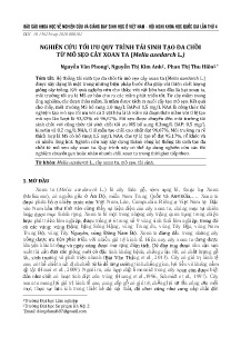 Nghiên cứu tối ưu quy trình tái sinh tạo đa chồi từ mô sẹo cây xoan ta (Melia azedarch L.)