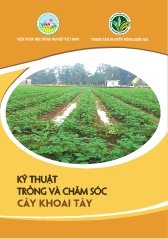 Tài liệu Kỹ thuật trồng và chăm sóc cây khoai tây